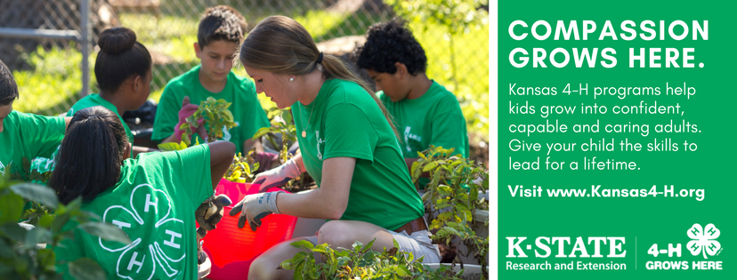 Fuel a different awareness in your youth by enrolling them in our 4-H program