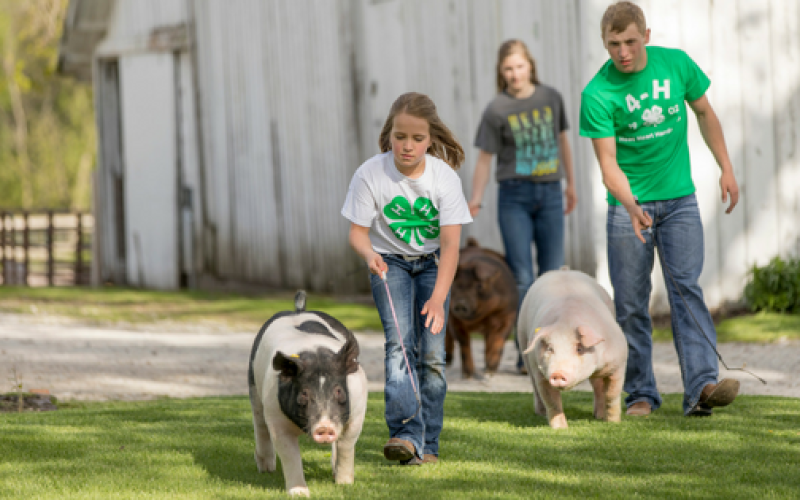 The Gift of 4-H
