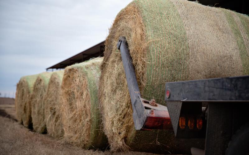 Pickup loading bale to feed