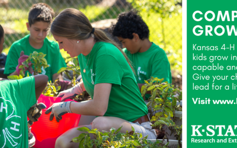 Fuel a different awareness in your youth by enrolling them in our 4-H program