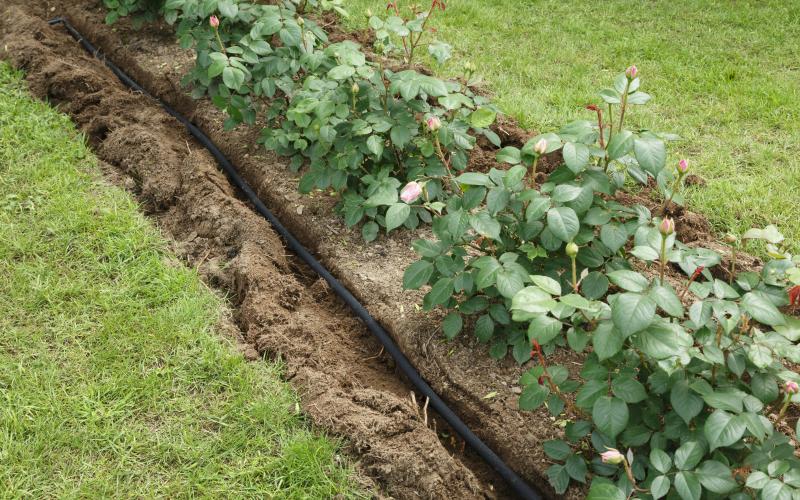 Water irrigation hose in flowerbed