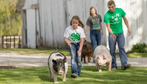 The Gift of 4-H