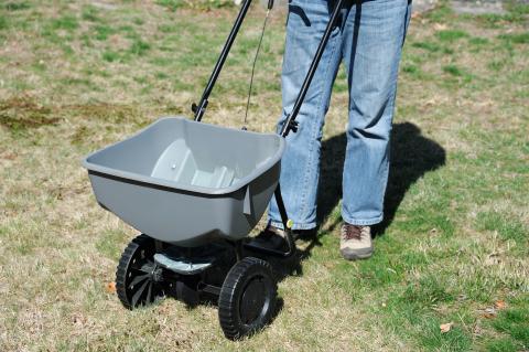 Fertilizing lawn